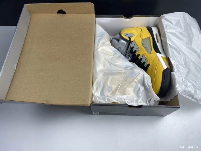 Chep Onekick Air T23 5 454783-701 Retro Jordan Tokyo 0817